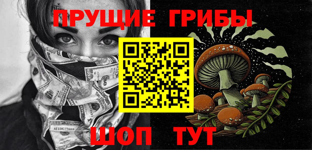 Галлюциногенные грибы GOLDEN TEACHER  Вход с VPN  дарнет шоп  Галлюциногенные грибы прущие грибы  Зеленодольск 